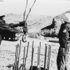 Архив Волгодонской правды